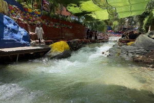Marrakech : montagnes de l'Atlas, cascades, vallée de l'Ourika + déjeuner
