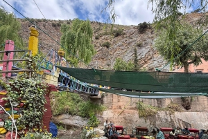 Marrakech : montagnes de l'Atlas, cascades, vallée de l'Ourika + déjeuner