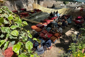 Marrakech : montagnes de l'Atlas, cascades, vallée de l'Ourika + déjeuner