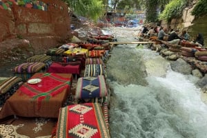 Marrakech : montagnes de l'Atlas, cascades, vallée de l'Ourika + déjeuner