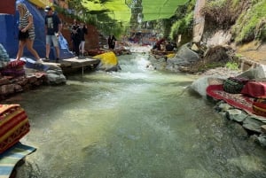 Marrakech : montagnes de l'Atlas, cascades, vallée de l'Ourika + déjeuner