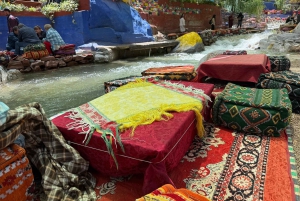 Marrakech : montagnes de l'Atlas, cascades, vallée de l'Ourika + déjeuner