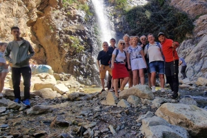 Marrakech : montagnes de l'Atlas, cascades, vallée de l'Ourika + déjeuner