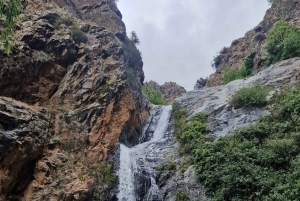 Marrakech : montagnes de l'Atlas, cascades, vallée de l'Ourika + déjeuner