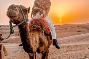 Marrakech: Atlas Mountains Paraglide and Camel Ride Day Trip