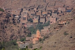 Marrakech: Atlas Mountains Paraglide and Camel Ride Day Trip