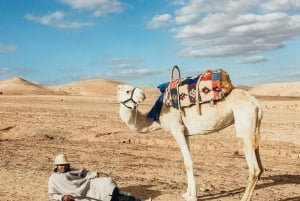 Marrakech: Atlas Mountains Paraglide and Camel Ride Day Trip