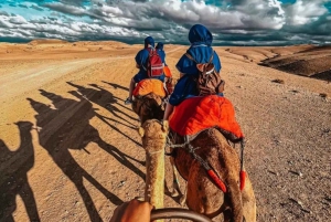 Marrakech: Atlas Mountains Paraglide and Camel Ride Day Trip