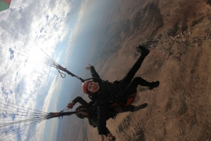 Marrakech: Atlas Mountains Paraglide and Camel Ride Day Trip