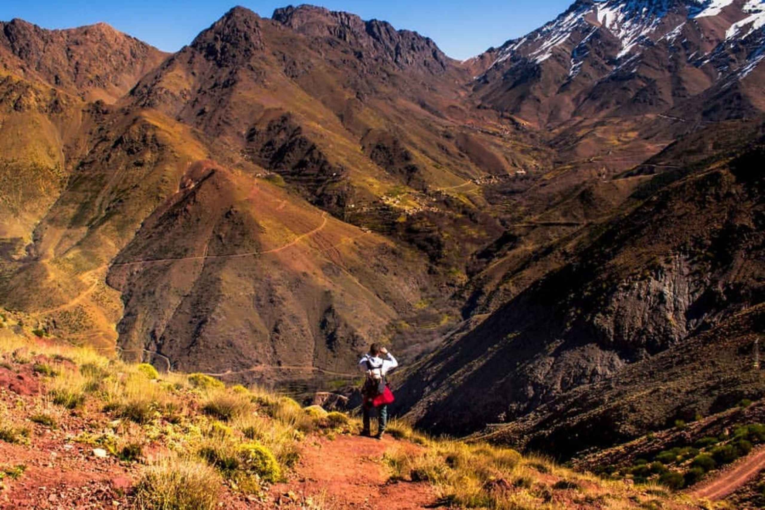 Marrakech: Atlas Mountains Summit Day Trek 2700m
