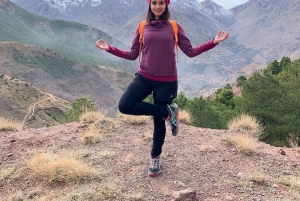 Marrakech: Atlas Mountains Summit Day Trek 2700m