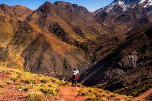 Marrakech: Atlas Mountains Summit Day Trek 2700m