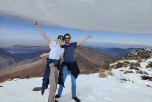 Marrakech: Atlas Mountains Summit Day Trek 2700m