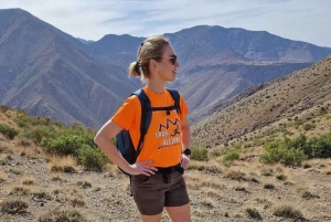 Marrakech: Atlas Mountains Summit Day Trek 2700m