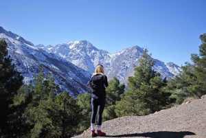 Marrakech: Atlas Mountains Summit Day Trek 2700m