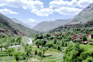 Marrakech : randonnée dans les montagnes et les vallées de l'Atlas avec déjeuner