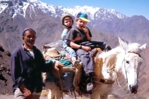 Marrakech : randonnée dans les montagnes et les vallées de l'Atlas avec déjeuner