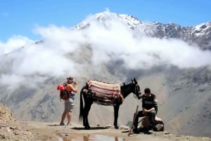 Marrakech : randonnée dans les montagnes et les vallées de l'Atlas avec déjeuner