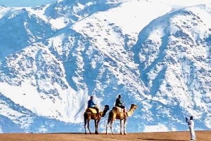 Marrakech : randonnée dans les montagnes et les vallées de l'Atlas avec déjeuner