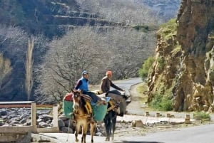 Marrakech : randonnée dans les montagnes et les vallées de l'Atlas avec déjeuner