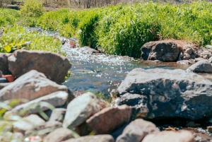 Marrakech : randonnée dans les montagnes et les vallées de l'Atlas avec déjeuner