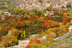 Marrakech : randonnée dans les montagnes et les vallées de l'Atlas avec déjeuner
