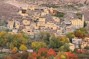 Marrakech : randonnée dans les montagnes et les vallées de l'Atlas avec déjeuner