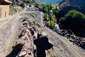 Marrakech : randonnée dans les montagnes et les vallées de l'Atlas avec déjeuner