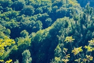 Marrakech : randonnée dans les montagnes et les vallées de l'Atlas avec déjeuner