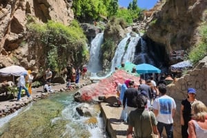 Marrakech: Atlas Mountains Waterfall & Camel Ride Experience