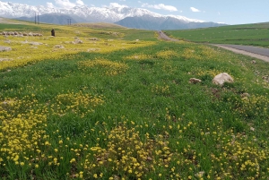Marrakech: ourika valley & waterfall Day Trip with guide