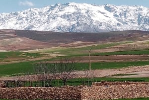 Marrakech: ourika valley & waterfall Day Trip with guide
