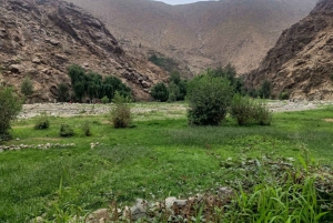 Marrakech: ourika valley & waterfall Day Trip with guide