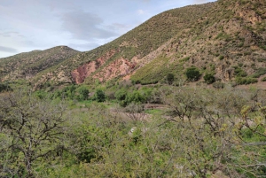 Marrakech: ourika valley & waterfall Day Trip with guide