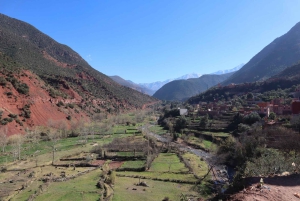 Marrakech: ourika valley & waterfall Day Trip with guide