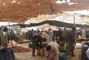 Marrakech: ourika valley & waterfall Day Trip with guide