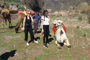 Marrakech: ourika valley & waterfall Day Trip with guide