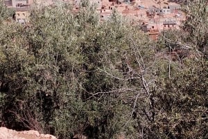 Marrakech: ourika valley & waterfall Day Trip with guide