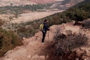 Marrakech: ourika valley & waterfall Day Trip with guide