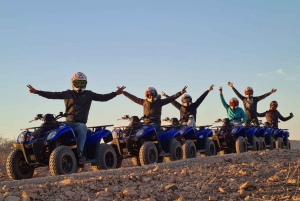 Marrakech: Woestijn en Palmbos Quad Tour met Thee