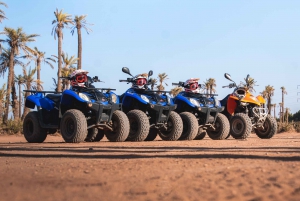 Marrakech: Excursión en quad por el desierto y el palmeral con té