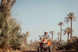 Marrakech: Excursión en quad por el desierto y el palmeral con té