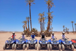Marrakech: Desert and Palm Grove Quad Tour with Tea: Desert and Palm Grove Quad Tour with Tea