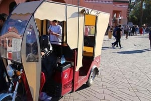 Marrakech: Palazzo Bahia, Madrassa e Souk - Tour guidato