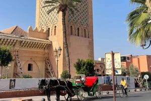 Marrakech: Palazzo Bahia, Madrassa e Souk - Tour guidato