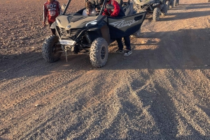 Marrakech: Palm Grove Buggy Ride with Moroccan Tea & Pancake