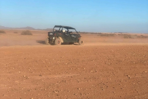 Marrakech: Palm Grove Buggy Ride with Moroccan Tea & Pancake