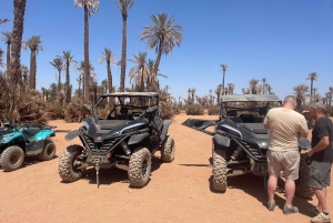 Marrakech: Kør i buggy 1000cc i ørkenen ved Palmeraie