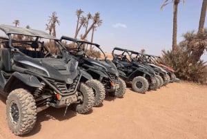 Marrakech: Kør i buggy 1000cc i ørkenen ved Palmeraie