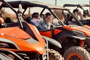 Marrakech: Kør i buggy 1000cc i ørkenen ved Palmeraie